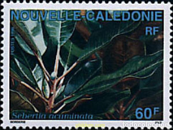 Sellos: 94965 MNH NUEVA CALEDONIA 1995 FLORA DE NUEVA CALEDONIA