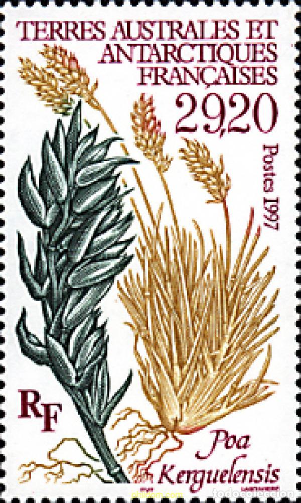 Sellos: 79075 MNH ANTARTIDA FRANCESA 1997 FLORA ANTARTICA