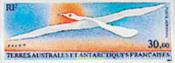 Sellos: 33957 MNH ANTARTIDA FRANCESA 1990 PAJARO. Pintura