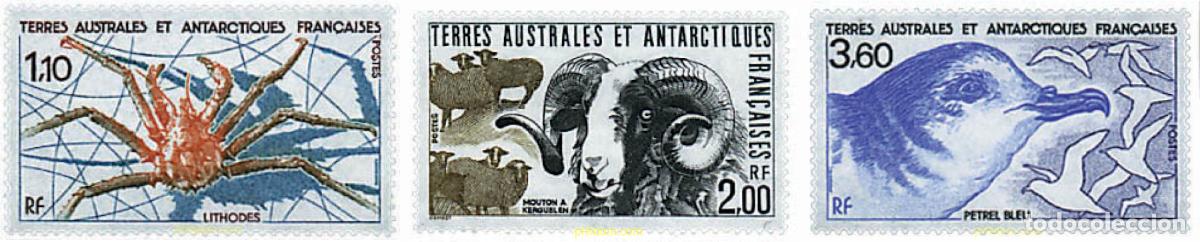 Sellos: 43439 MNH ANTARTIDA FRANCESA 1989 FAUNA