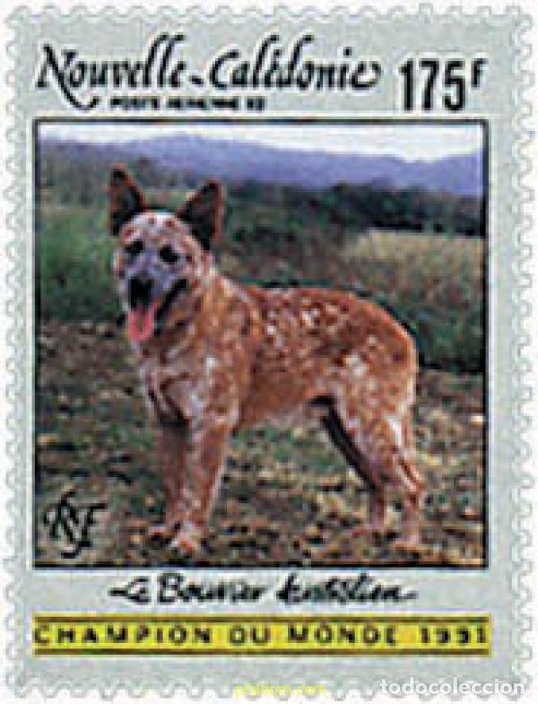 Sellos: 46640 MNH NUEVA CALEDONIA 1992 PERRO