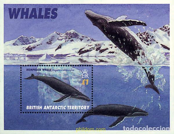 Sellos: 54669 MNH ANTARTIDA BRITANICA 1996 CETACEOS