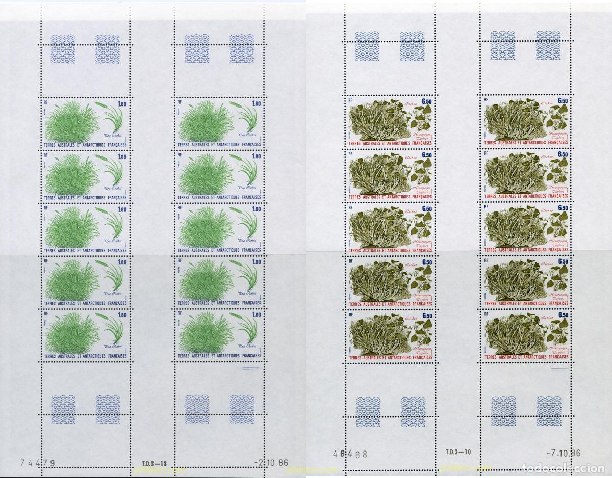 Sellos: 239350 MNH ANTARTIDA FRANCESA 1987 PLANTAS
