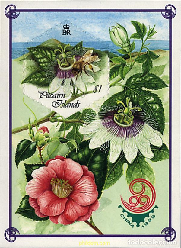 Sellos: 94301 MNH PITCAIRN Islas 1999 CHINA 99. EXPOSICION FILATELICA INTERNACIONAL