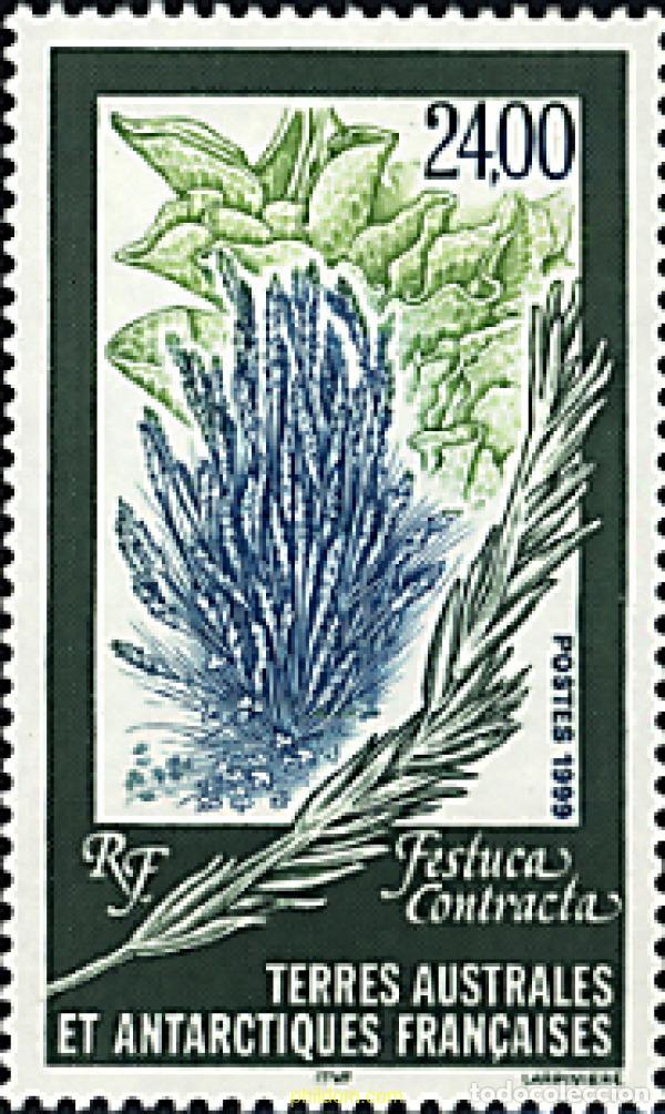 Sellos: 79077 MNH ANTARTIDA FRANCESA 1999 FLORA ANTARTICA