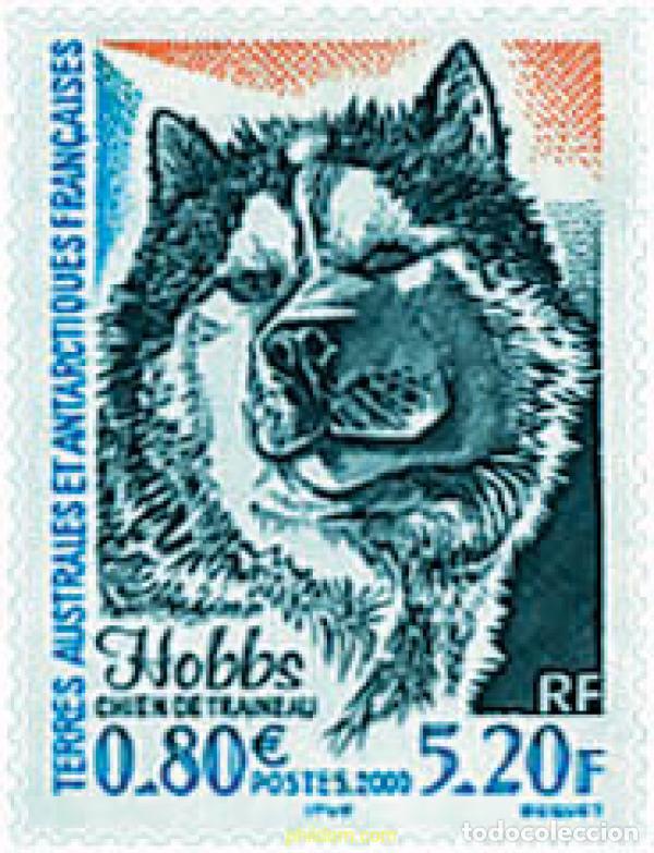 Sellos: 63860 MNH ANTARTIDA FRANCESA 2000 FAUNA