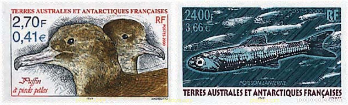 Sellos: 63855 MNH ANTARTIDA FRANCESA 2000 FAUNA ANTARTICA