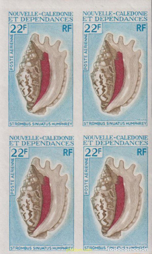Sellos: 626916 MNH NUEVA CALEDONIA 1970 CONCHAS