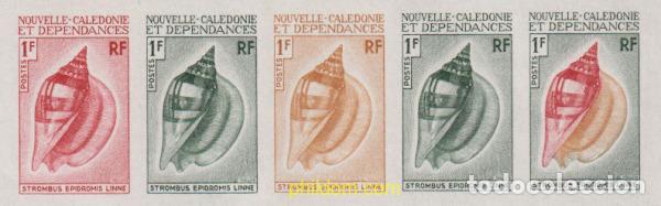 Sellos: 626917 MNH NUEVA CALEDONIA 1970 CONCHAS
