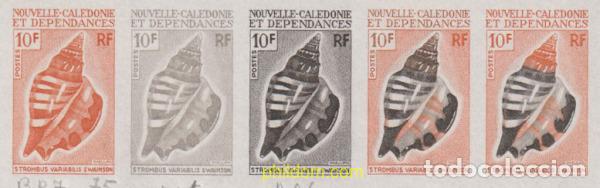 Sellos: 626918 MNH NUEVA CALEDONIA 1970 CONCHAS