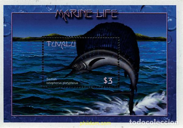 Sellos: 570431 MNH TUVALU 2000 VIDA MARINA