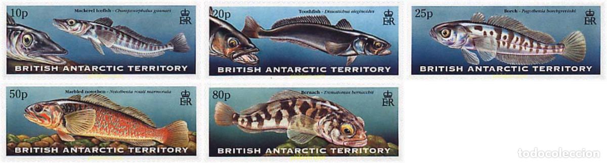 Sellos: 57010 MNH ANTARTIDA BRITANICA 1999 PECES DE LA ANTARTIDA