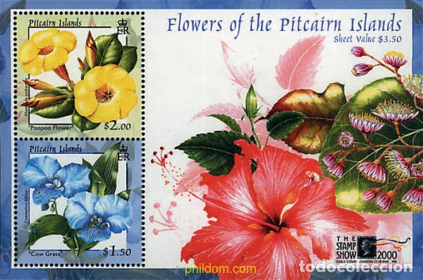 Sellos: 147788 MNH PITCAIRN Islas 2000 THE STAMP SHOW 2000. EXPOSICION FILATELICA INTERNACIONAL