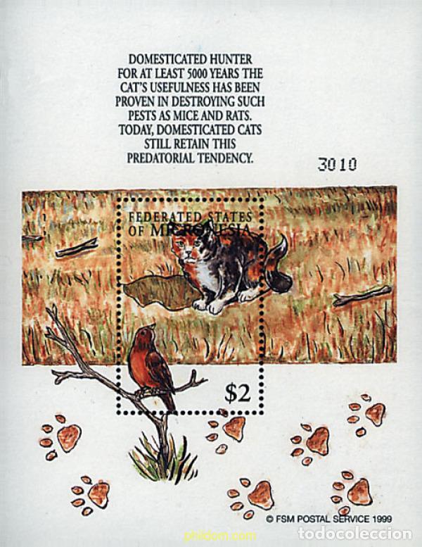 Sellos: 74725 MNH MICRONESIA 2000 GATOS