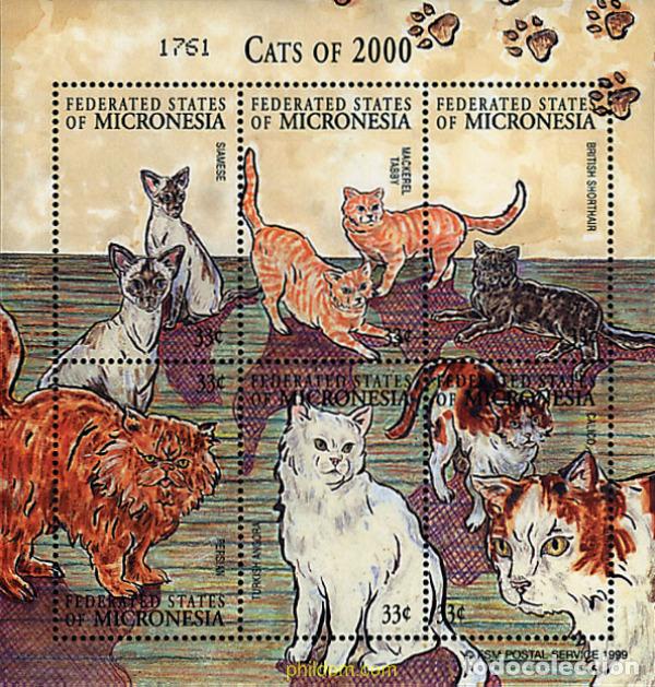 Sellos: 294097 MNH MICRONESIA 2000 GATOS