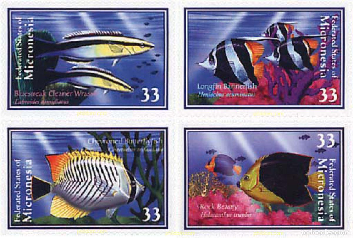 Sellos: 74722 MNH MICRONESIA 2000 FAUNA DE LOS ARRECIFES DE CORAL