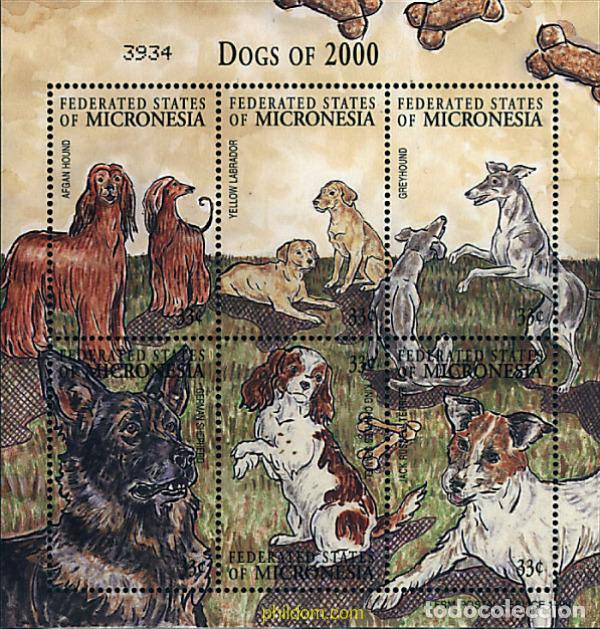 Sellos: 294098 MNH MICRONESIA 2000 PERROS