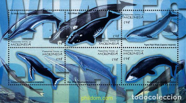 Sellos: 294111 MNH MICRONESIA 2001 BALLENAS