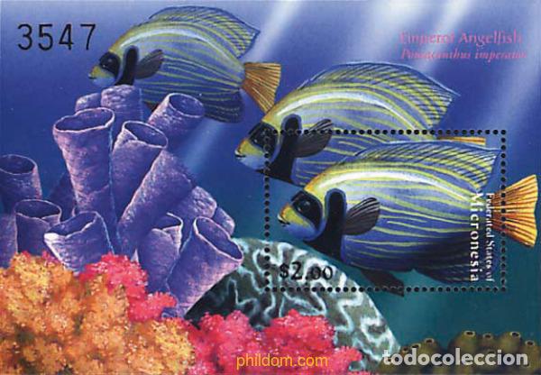 Sellos: 344052 MNH MICRONESIA 2000 FAUNA DE LOS ARRECIFES DE CORAL
