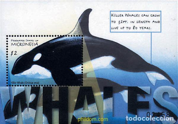 Sellos: 344056 MNH MICRONESIA 2001 BALLENAS