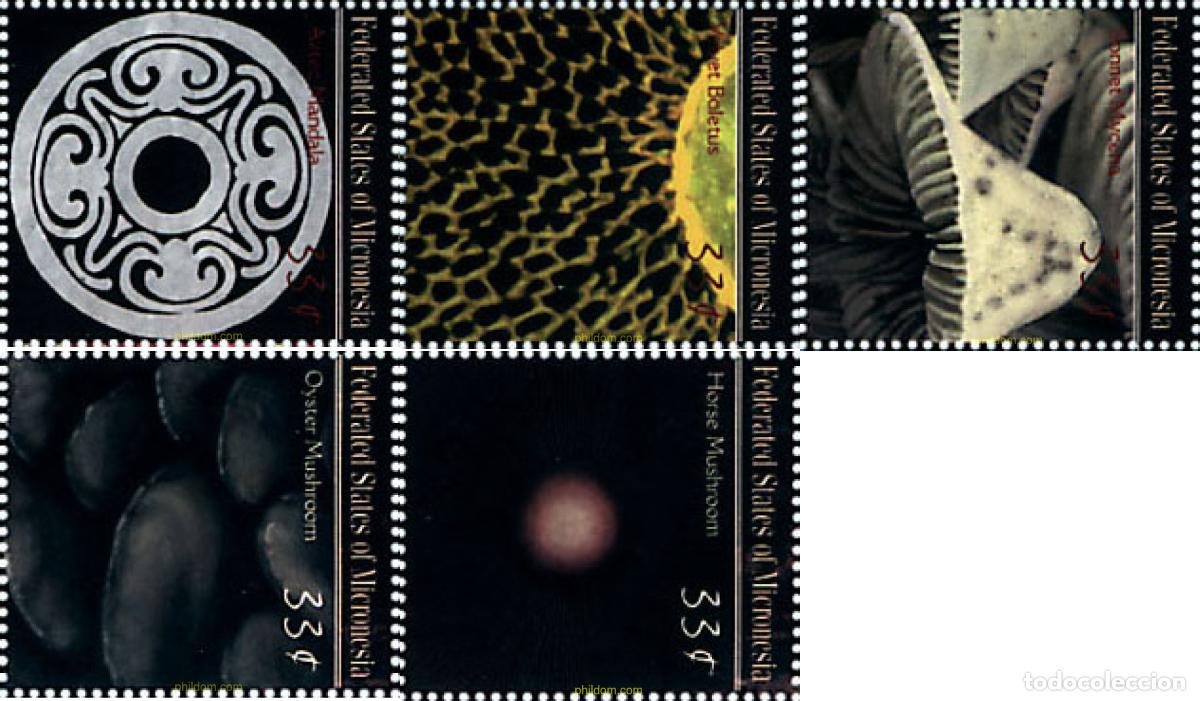 Sellos: 344048 MNH MICRONESIA 2000 SETAS