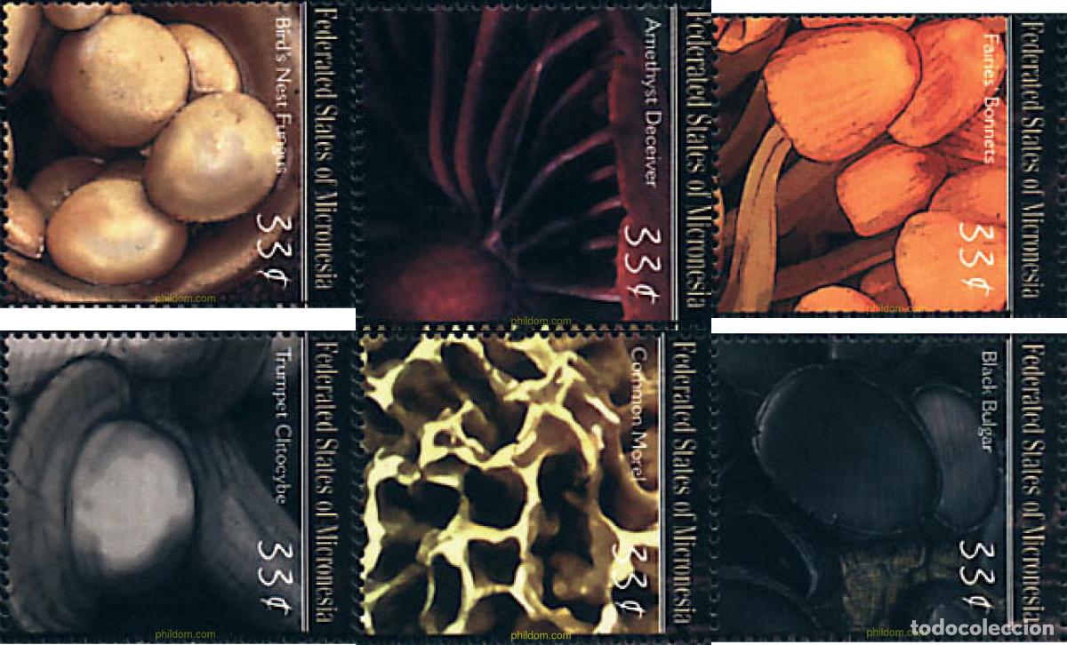 Sellos: 344050 MNH MICRONESIA 2000 SETAS