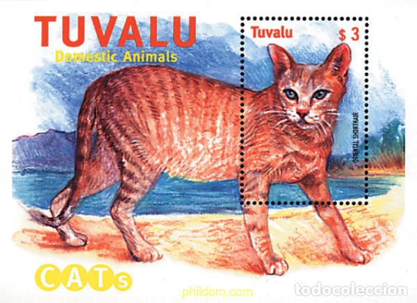 Sellos: 78793 MNH TUVALU 2000 GATOS