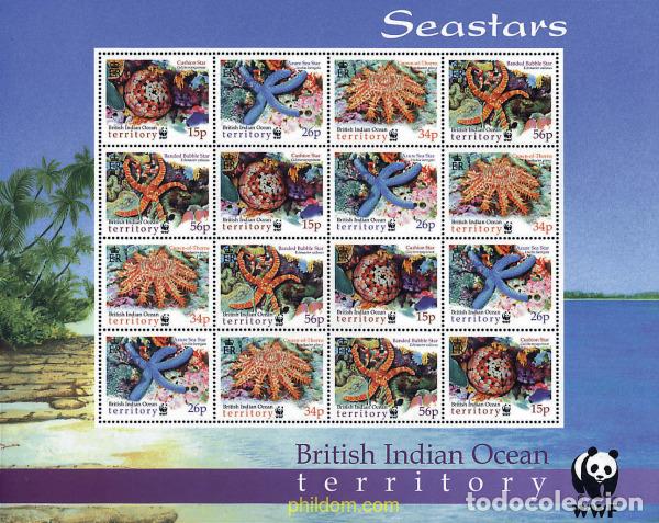 Sellos: 12733 MNH OCEANO INDICO BRITANICO 2001 ESTRELLAS DE MAR