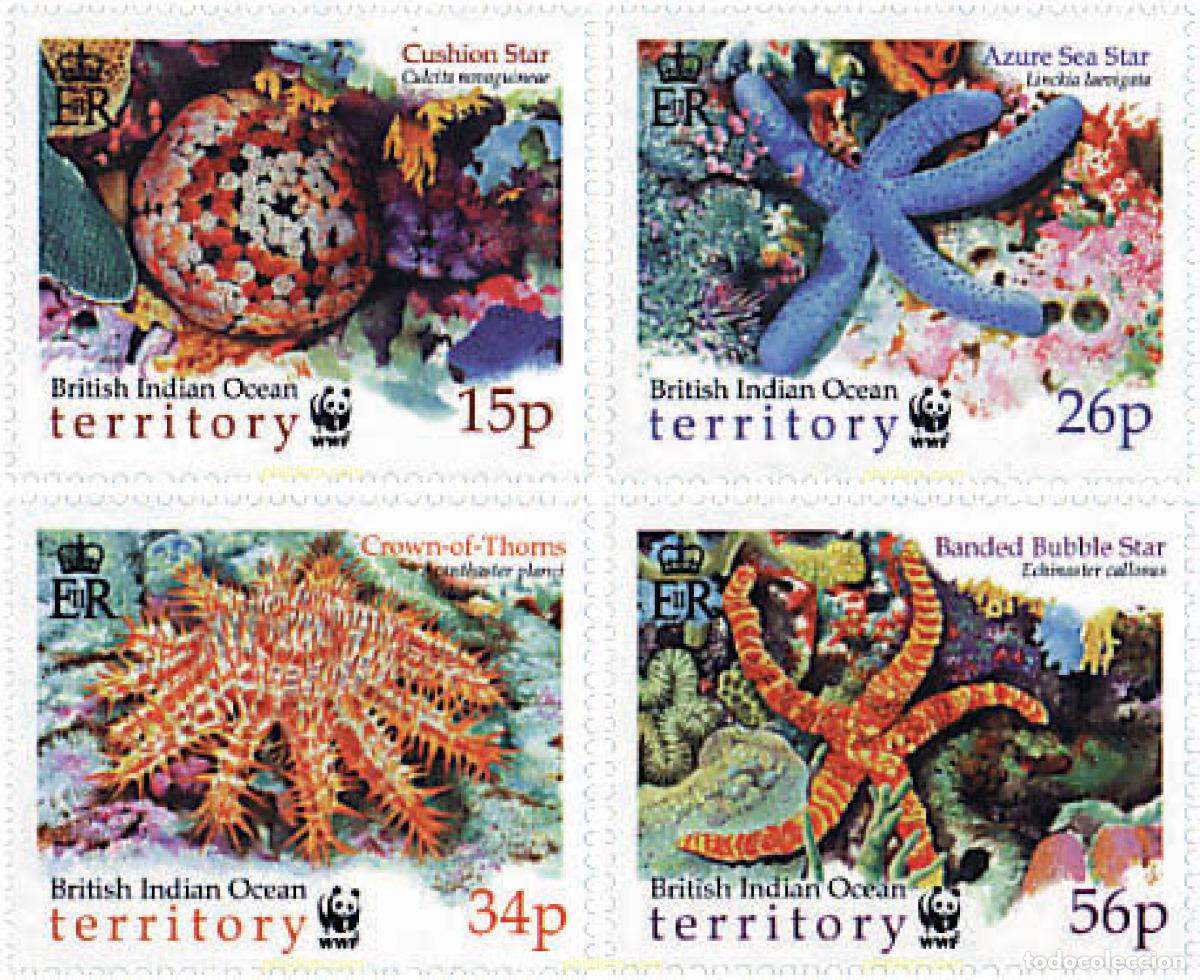 Sellos: 74939 MNH OCEANO INDICO BRITANICO 2001 ESTRELLAS DE MAR