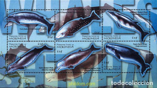Sellos: 294130 MNH MICRONESIA 2001 BALLENAS