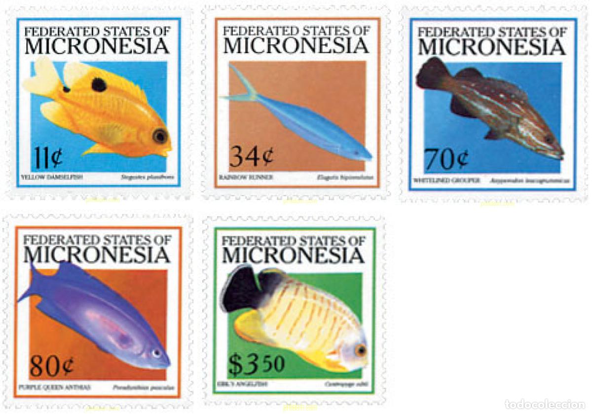 Sellos: 584629 MNH MICRONESIA 2001 PECES