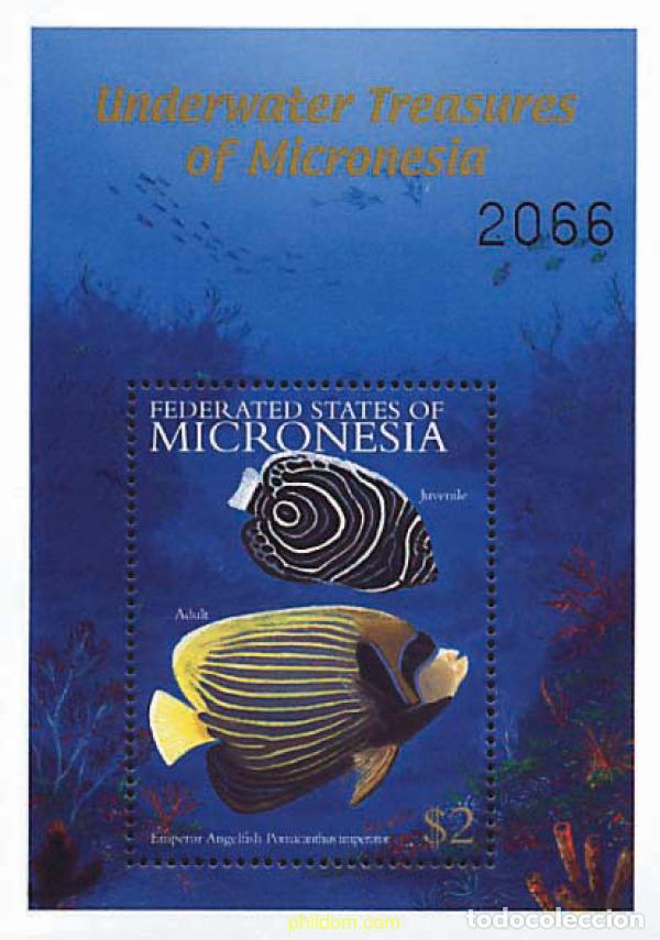 Sellos: 344059 MNH MICRONESIA 2001 FAUNA MARINA DE MICRONESIA