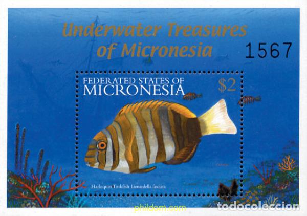 Sellos: 344064 MNH MICRONESIA 2001 FAUNA MARINA DE MICRONESIA