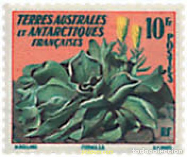 Sellos: 98046 MNH ANTARTIDA FRANCESA 1959 FLORA