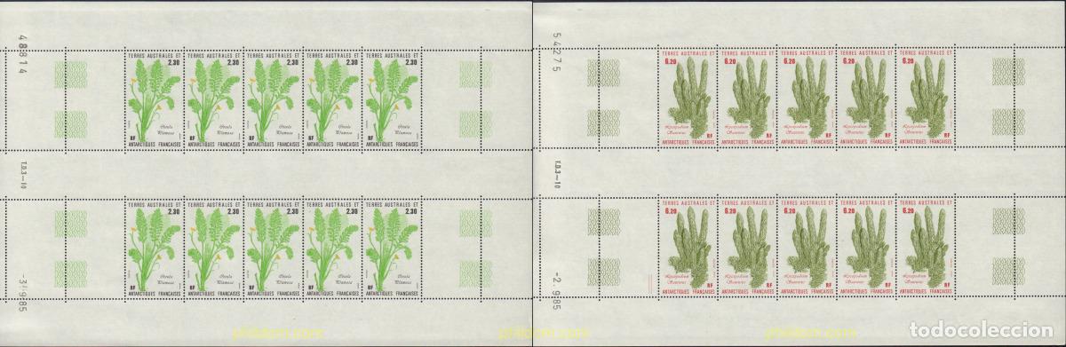 Sellos: 583881 MNH ANTARTIDA FRANCESA 1986 FLORA ANTARTICA