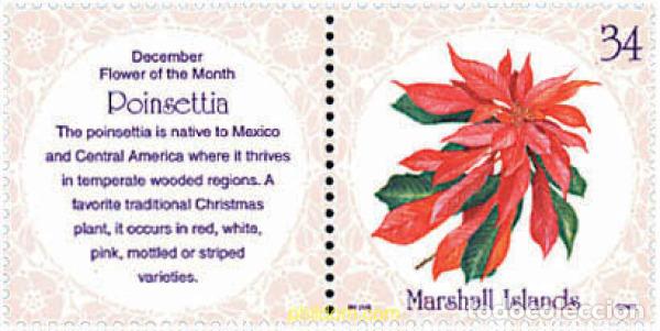 Sellos: 95523 MNH MARSHALL Islas 2001 FLOR DE DICIEMBRE