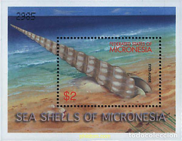 Sellos: 344070 MNH MICRONESIA 2001 CONCHAS - Foto 1