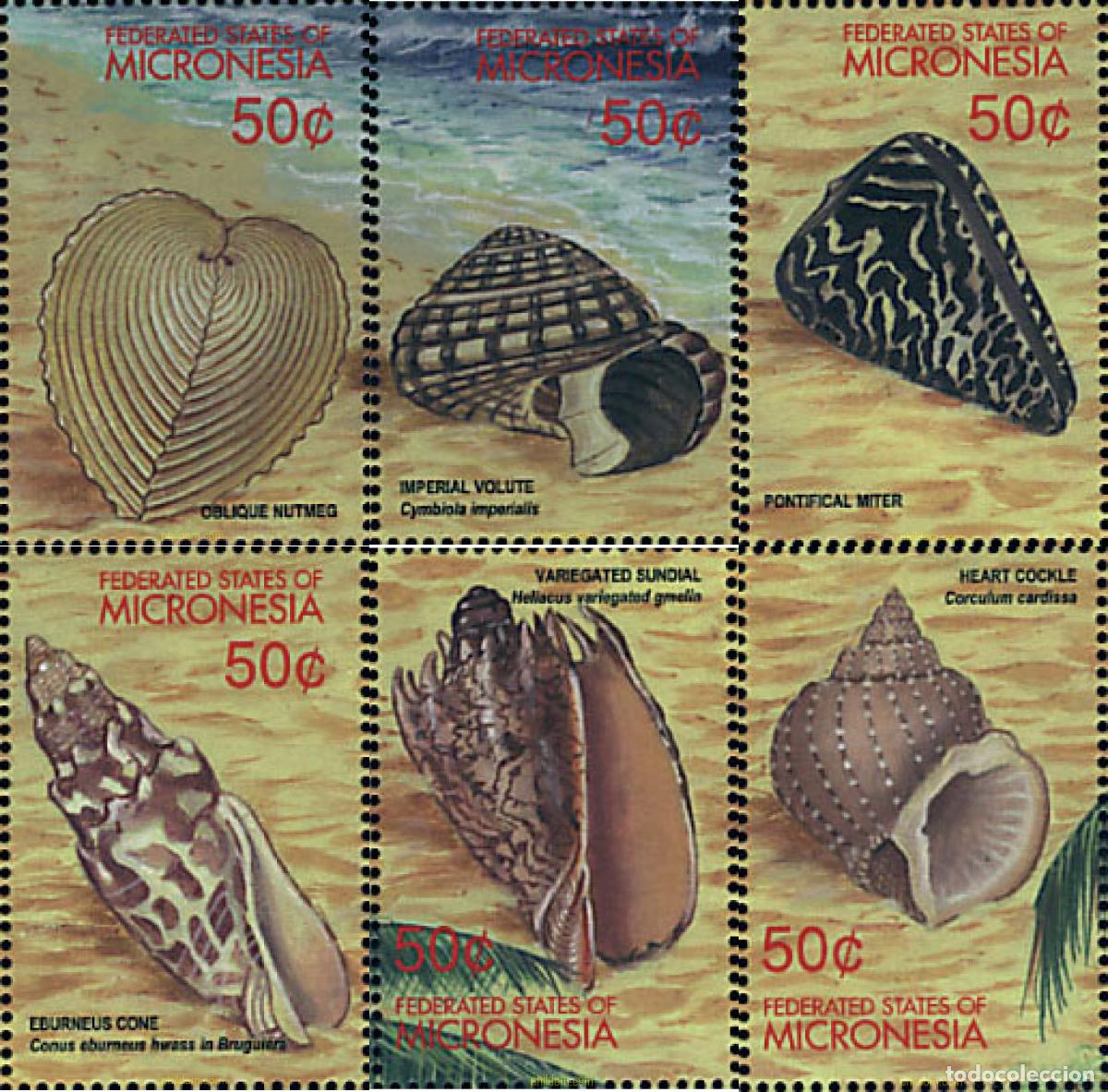 Sellos: 344062 MNH MICRONESIA 2001 CONCHAS - Foto 1