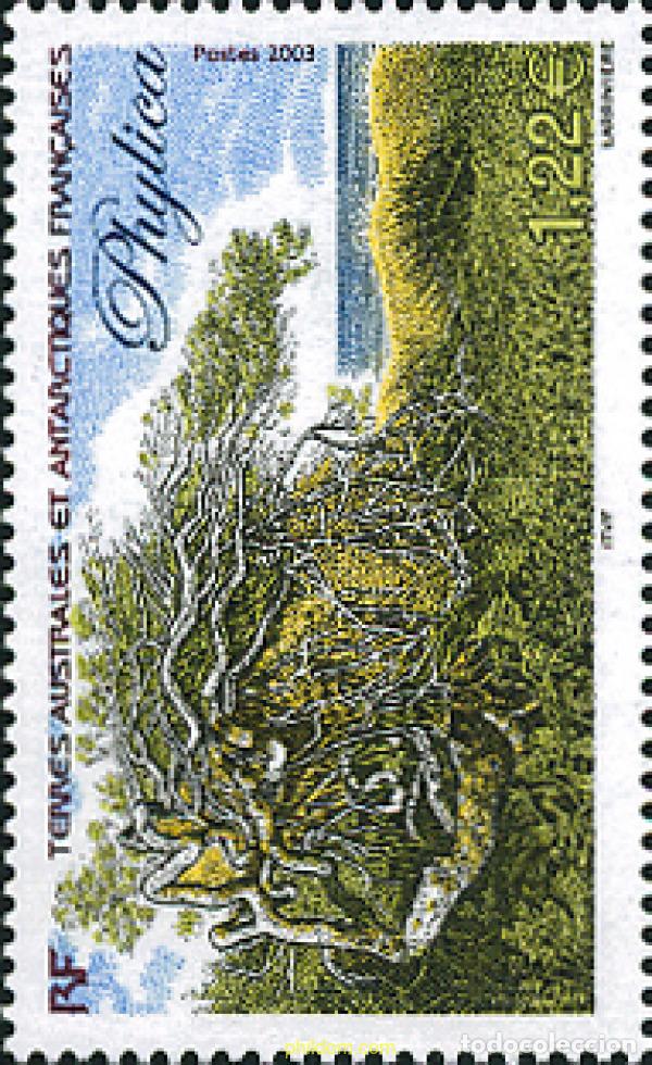 Sellos: 114344 MNH ANTARTIDA FRANCESA 2003 FLORA ANTARTICA
