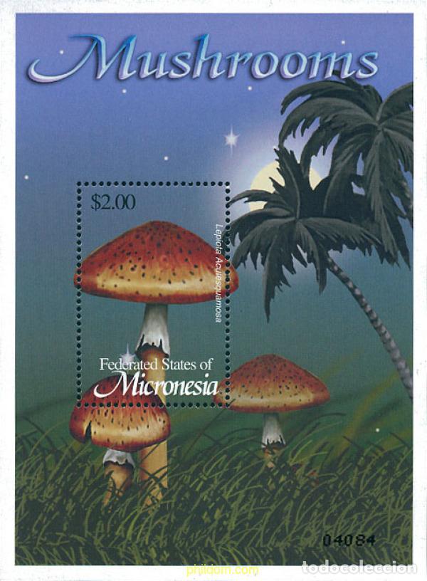 Sellos: 116258 MNH MICRONESIA 2002 SETAS