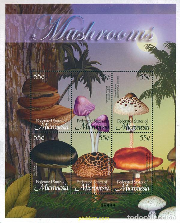 Sellos: 226833 MNH MICRONESIA 2002 SETAS