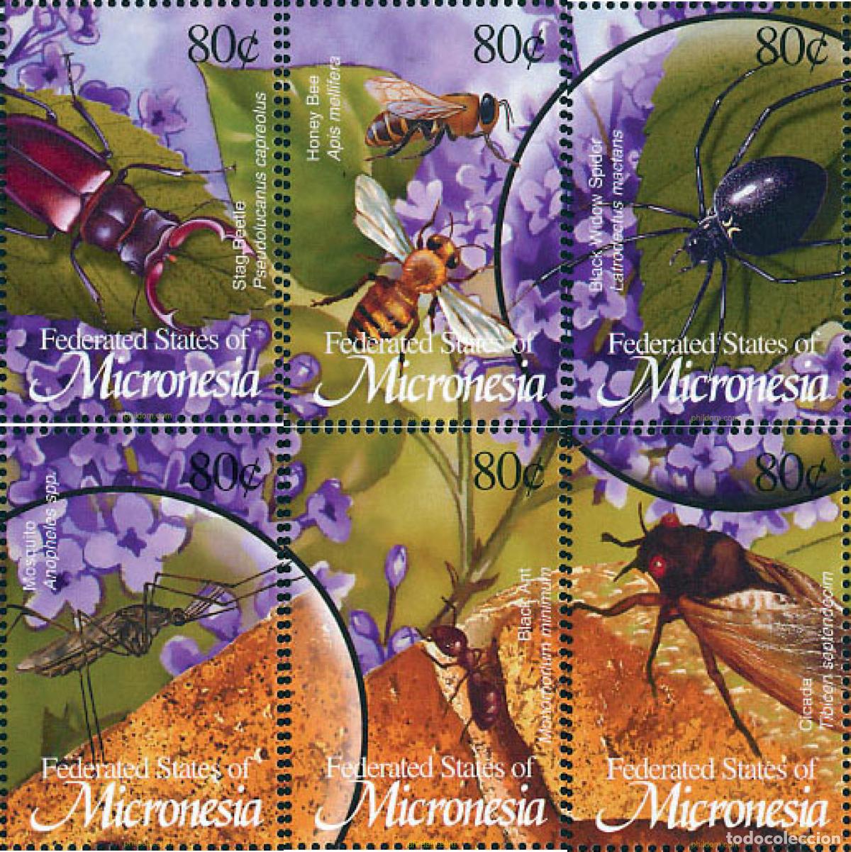Sellos: 118712 MNH MICRONESIA 2002 INSECTOS