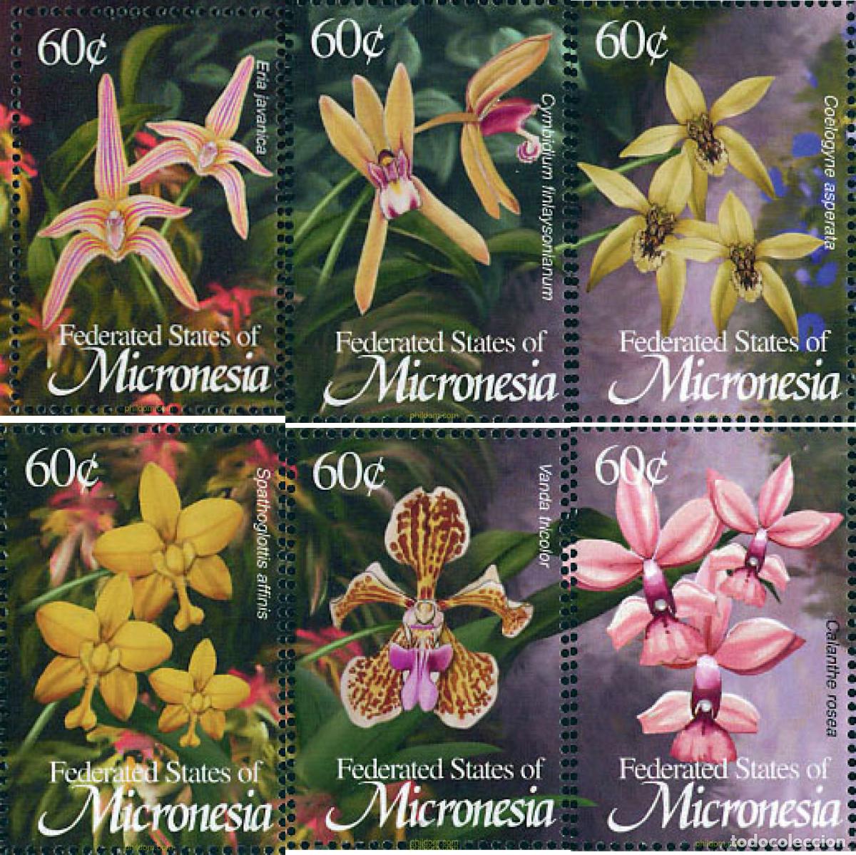 Sellos: 119432 MNH MICRONESIA 2002 ORQUIDEAS