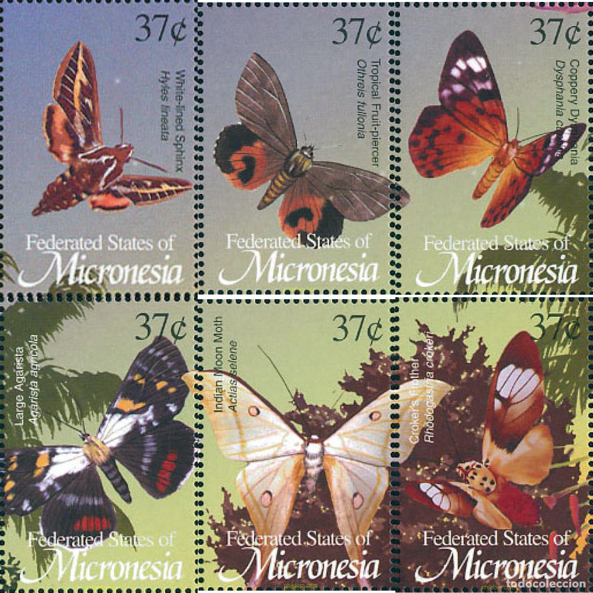 Sellos: 123048 MNH MICRONESIA 2002 MARIPOSAS