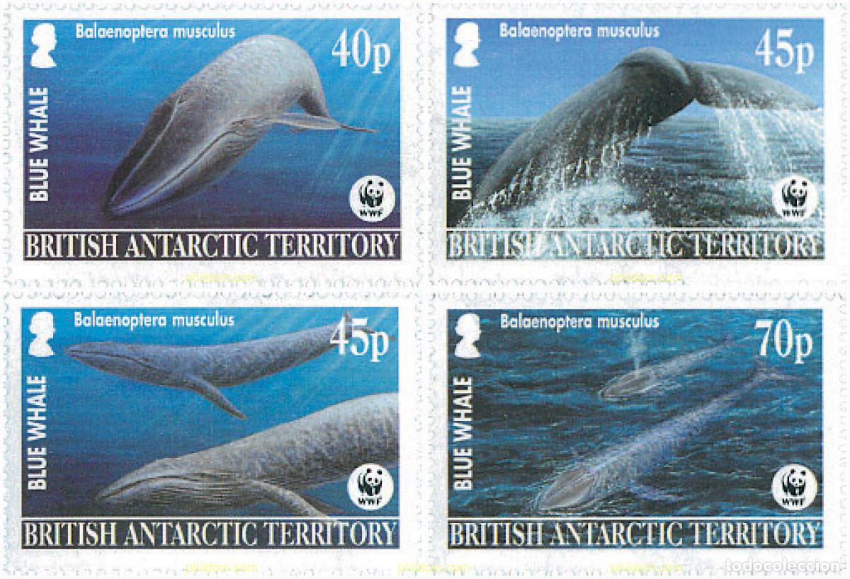 Sellos: 127281 MNH ANTARTIDA BRITANICA 2003 BALLENA AZUL