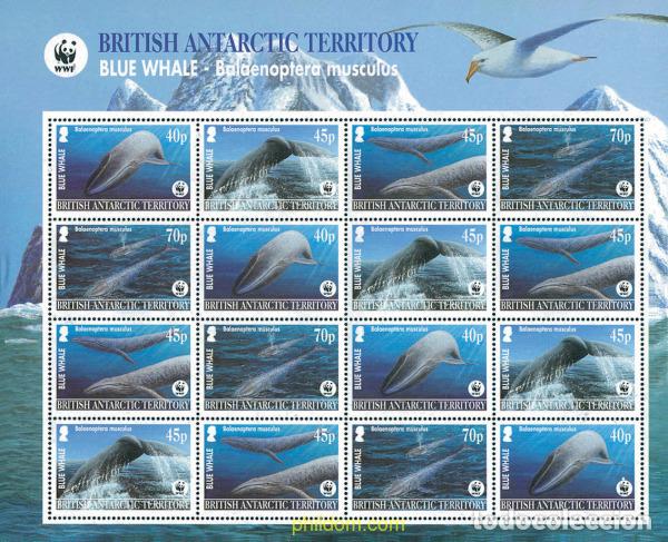Sellos: 127284 MNH ANTARTIDA BRITANICA 2003 BALLENA AZUL
