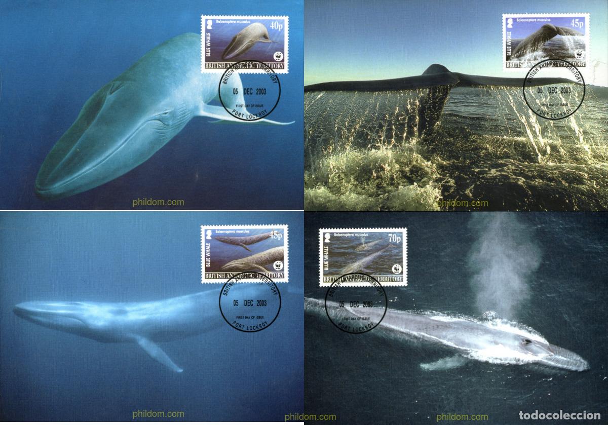 Sellos: 127285 MNH ANTARTIDA BRITANICA 2003 BALLENA AZUL