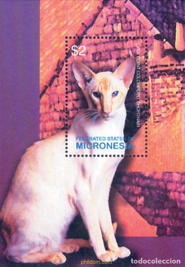 Sellos: 134929 MNH MICRONESIA 2003 GATOS