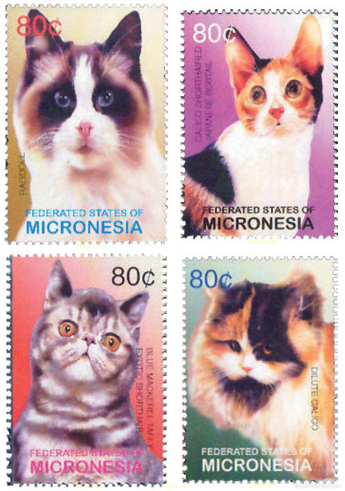 Sellos: 134928 MNH MICRONESIA 2003 GATOS
