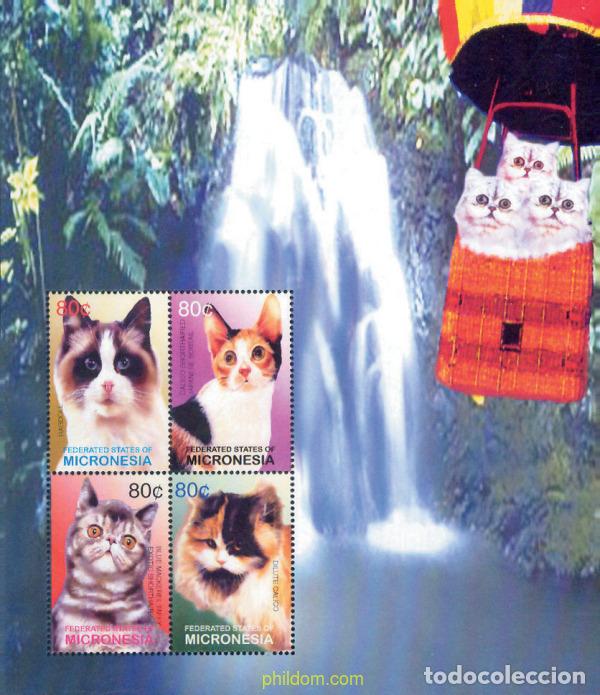 Sellos: 226825 MNH MICRONESIA 2003 GATOS